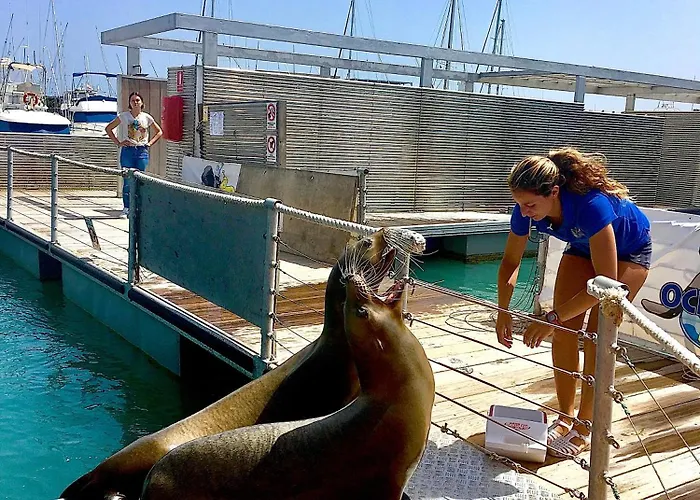 712 Bahia Sol Caleta De Fuste