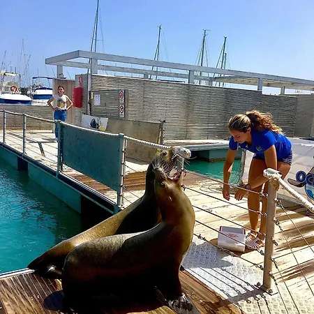 712 Bahia Sol Caleta De Fuste