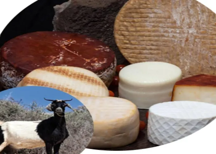 712 Bahia Sol アパート カレタ・デ・フステ